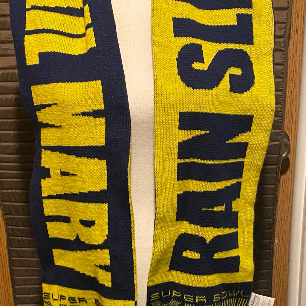 Super Bowl Scarf